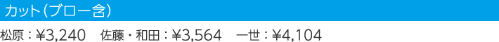 カット(ブロー含)