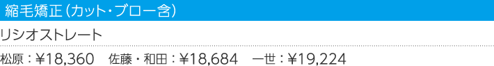 縮毛矯正(カット・ブロー含)